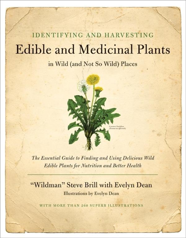 Identifying and Harvesting Edible and Medicinal Plants by Steve Brill||Evelyn Dean [Paperback Book]