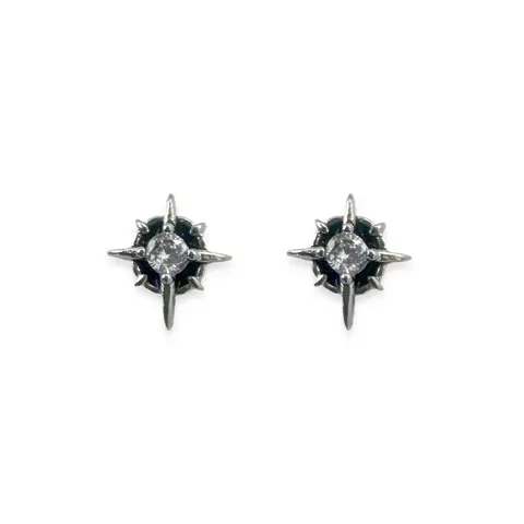CZ Star Stud Earrings for Men Women Streetwear Hip Hop Unisex Style