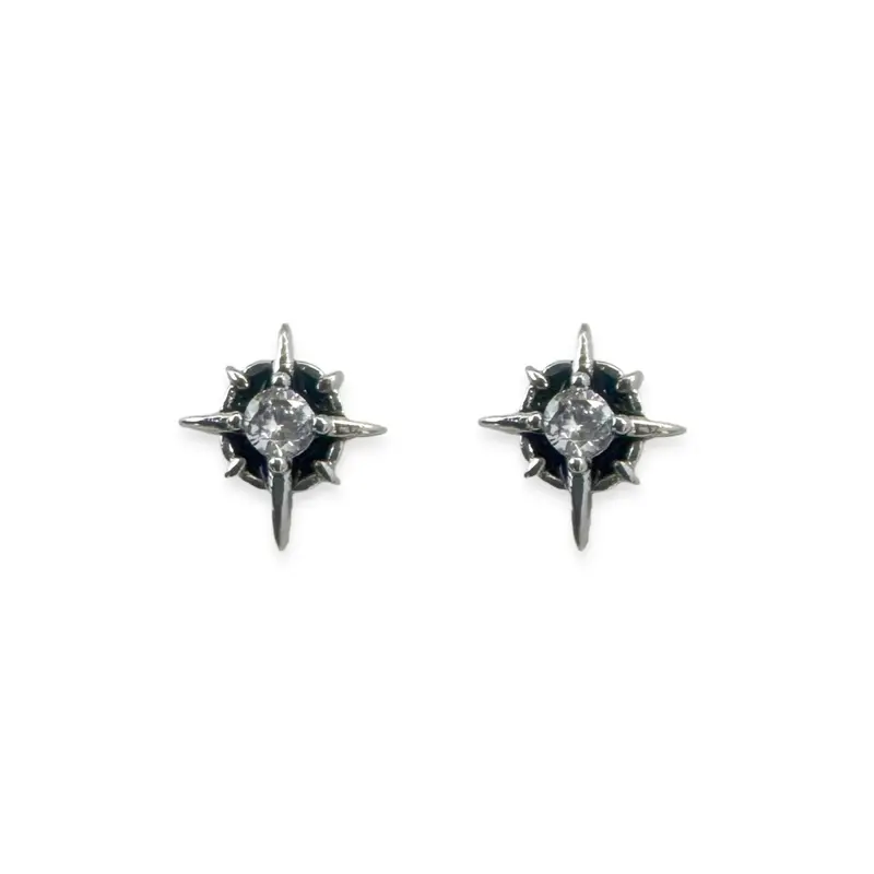 CZ Star Stud Earrings for Men Women Streetwear Hip Hop Unisex Style