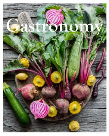 KVITER 100 Black Elderberry Seeds for Planting (Sambucus Nigra) – Organic Fruit Seeds, Heirloom & Non-GMO, Sweet & Juicy Fruit Berries – Perfect Shrub/Small Tree for Your Outdoor Garden