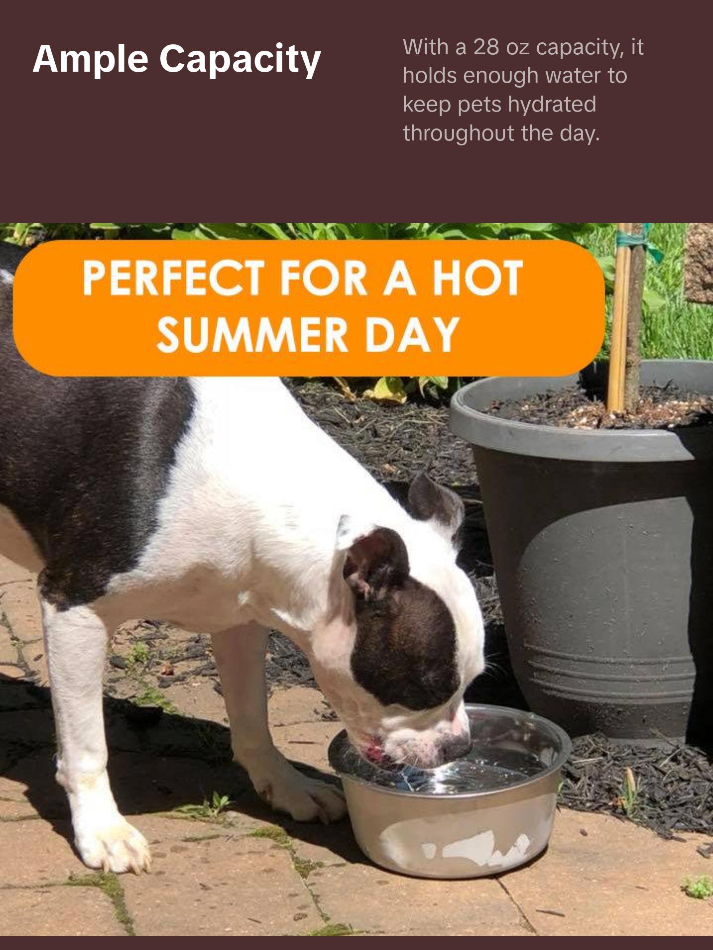 NEATER PETS Polar Bowl Freezer Bowl for Pets, Freezable Pet Bowl, Keep Your Dog or Cats Water Cold