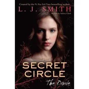 USED-The Divide by Smith, L. J. (Hardcover)