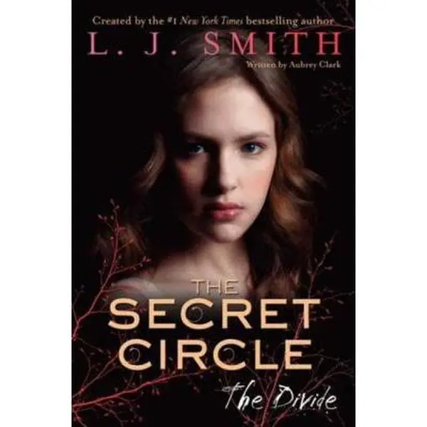 USED-The Divide by Smith, L. J. (Hardcover)
