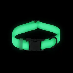 Lunar Glow in the Dark Waterproof Dog Collar
