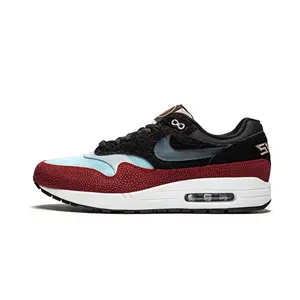 Air Max 1 PRM "Swipa/De'Aaron Fox" CJ9746 001
