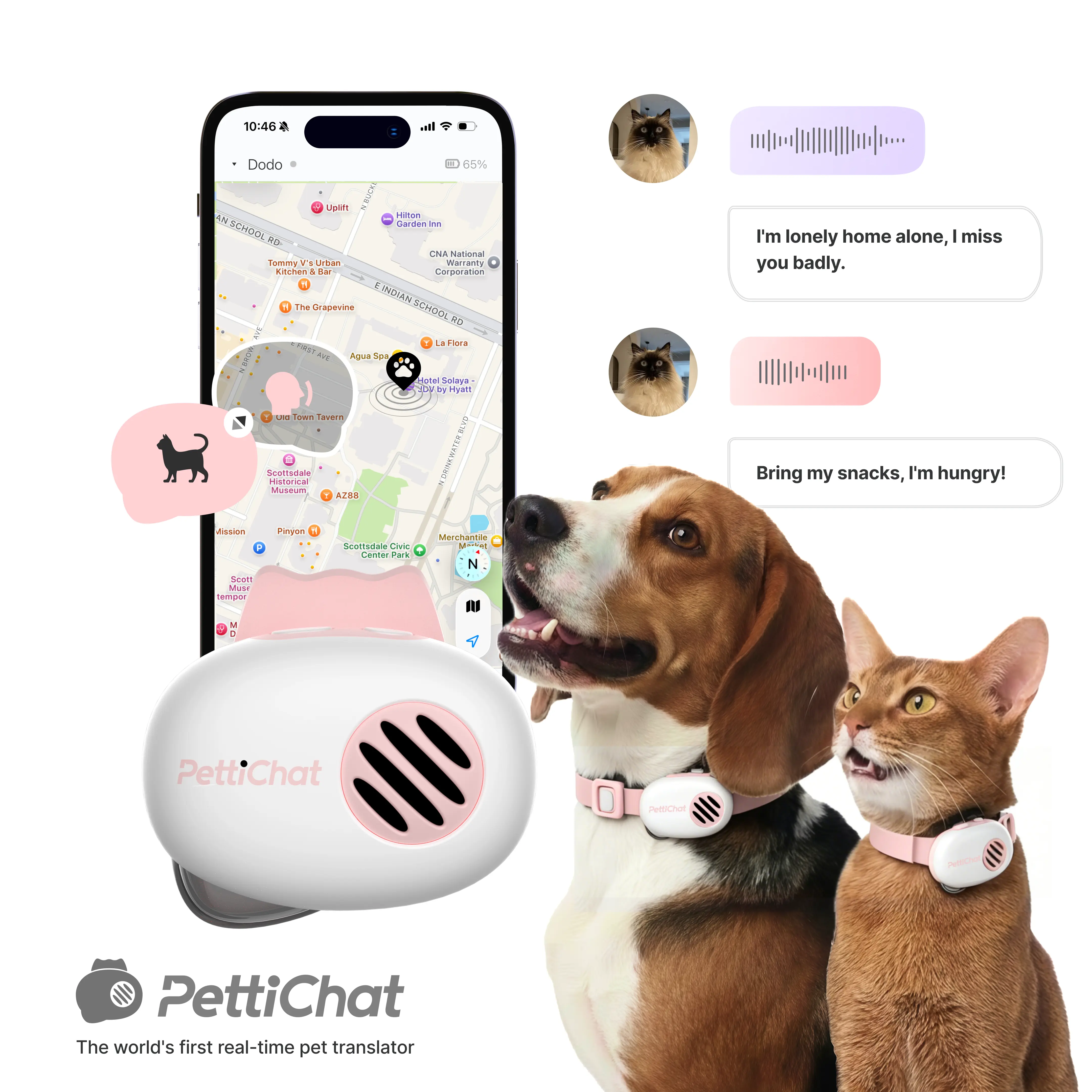 PETTICHAT PET TRANSLATOR COLLAR FOR CATS & DOGS – Real-Time Pet Voice Translation, Hybrid Location Tracker, 12-Month Free Premium Membership, IP65 Waterproof