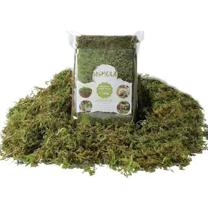 Fake Moss, 200g Green Moss for Potted Plants, Artificial Moss for DIY Crafts Home Decor Table Centerpieces Wedding Decoration (Fresh Green 225gr)