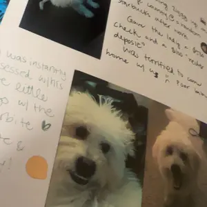 A Dog’s Life: Dog Memory Book