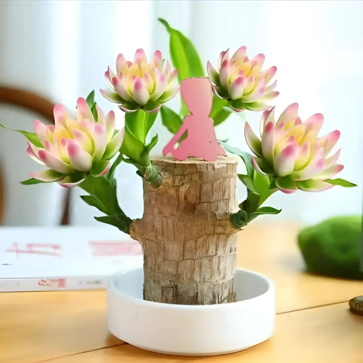 Brazilian Lucky Wood Hydroponic Pot - Symbol of Luck Prosperity - Easy to Grow Indoors with Tray Included - Enhances Humidity Reduces Stress - Topiary Artificial Tree Decorative Ornament Gift