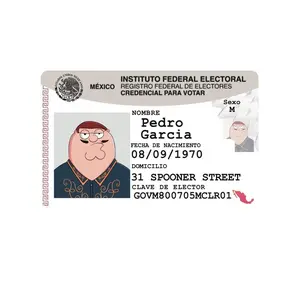 Pedro Garcia Themed Stickers. The Ultimate Rectangle Sticker for Anywhere & Anything | Waterproof Vinyl | Clean Minimal Tech Aesthetic | Perfect for Laptops, Phones & Everyday Use