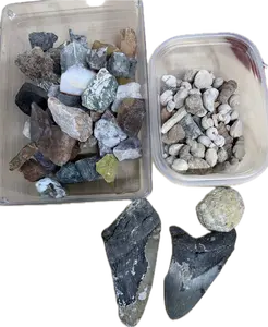 THE MEGALODON ONE GALLON NATURAL CRYSTAL AND FOSSIL MINING BUCKET