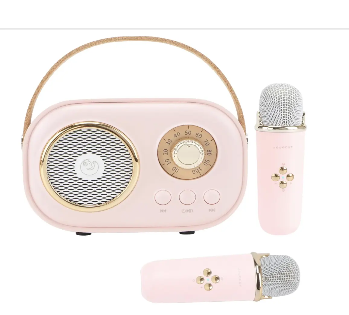 Home Audio Microphone – Enhance Your Family Gatherings, Karaoke Sessions, and Entertainment Time