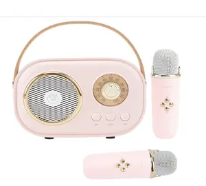 Home Audio Microphone – Enhance Your Family Gatherings, Karaoke Sessions, and Entertainment Time