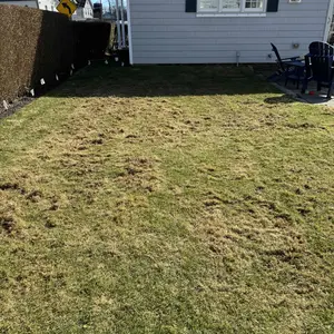 VEVOR 2-in-1 Electric Dethatcher and Scarifier Lawn Dethatcher 13-Inch /16inch  13 Amp