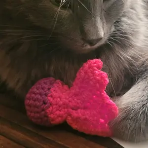 variegated  crochet fishy cat toy