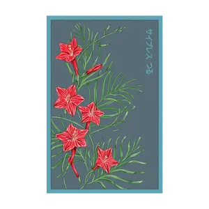 Cypressvine Star Glory Flower Seeds Packet