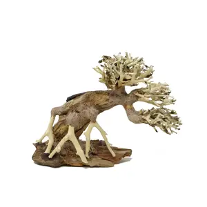 Aquarium Driftwood Bonsai Tree AquaSpace Fish Planted Freshwater ASO Random Pick