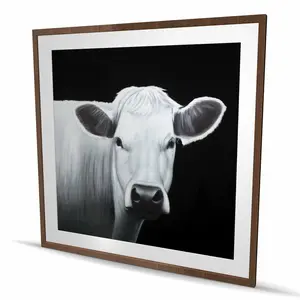 Begin Home Decor C1FM4848CDXFZT 48 x 48 in. White Cow Framed Matted Print Wall Art - Home Decor Animal Art