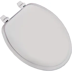 Jones Stephens C6C4E1-00 Closet Seat Economy Wood Elongated, White