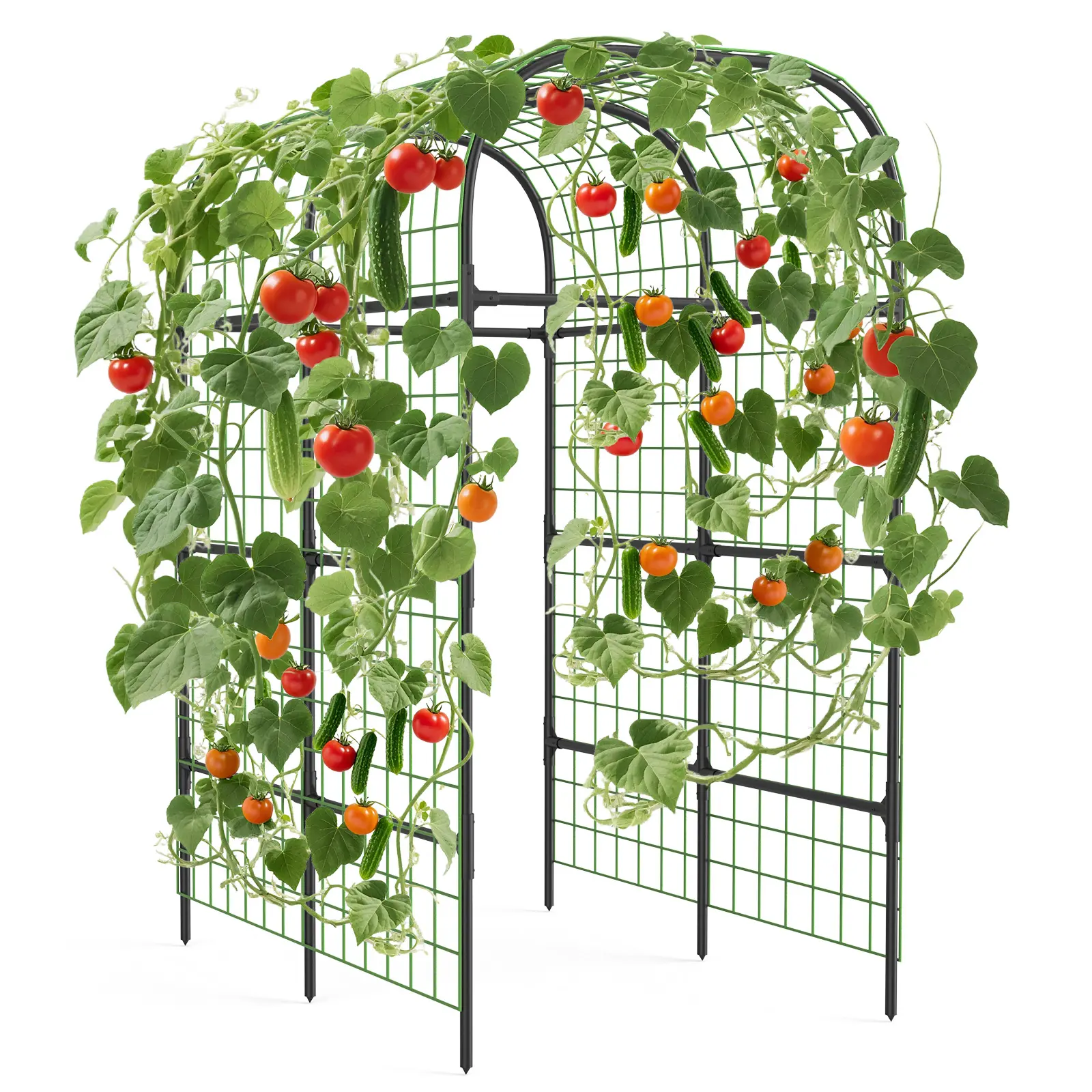 7.3FT Polyethylene-Coated Steel Garden Arch Trellis, Cucumber Trellis for Raised Beds with Plastic Connectors, Outdoor Gardening Vertical Grow Plant Support for Climbing Vegetables