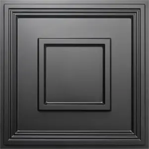 Black Drop Ceiling Tile 2ft x 2ft, Ceiling Panel High-Grade PVC Coverings 24 x 24in - 12 Pack Cover 48 Sq. Ft