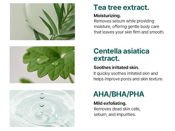 Korean Exfoliating Body Care Duo - Exfoliating Body Cleanser & Multi-Use Skincare Pad for Armpit and Body Exfoliation - Korean Skincare