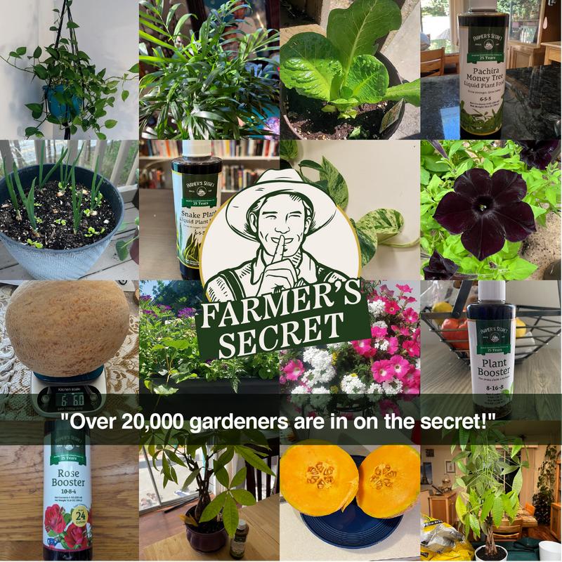 Farmer’s Secret Fruit & Bloom Booster Fertilizer (32oz) - Super Concentrated - Increases Flowering and Yield on All Varieties of Fruits, Vegetables and Flowers