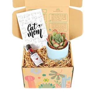 Pet-Friendly Gift Box