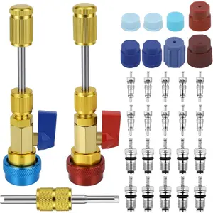 31-Piece R134a Valve Core Quick Removal Tool Set, High and Low Pressure Ac Valve Core Tools, Refrigerant Air Conditioning System Accessories
