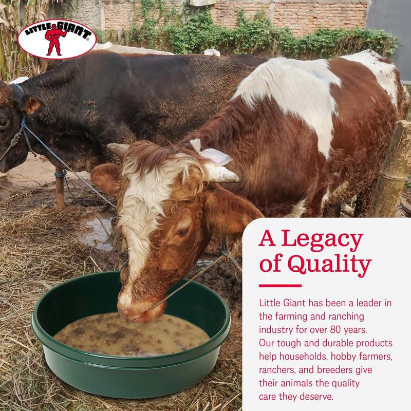 Little Giant 3 Gal Durable Flat Farm Livestock Feed Utility Pan, Green (12 Pack)