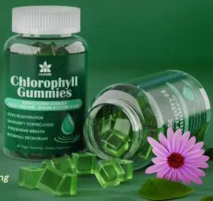 Chlorophyll Gummies Super Green with Wheat Grass Sea Moss Unfiltered Apple Cider Vinegar Elderberry Echinacea Zinc Complex and Vitamin D3 C E B12 Natural Deodorant Immune Booster and Digestion Support 60 Chews