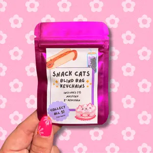 snack cats blind bag keychain/bag charm