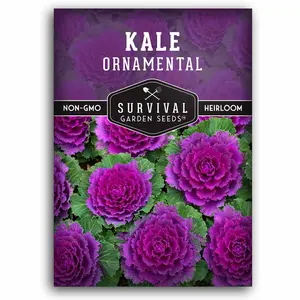 Ornamental Kale Seed - Flowering Kale