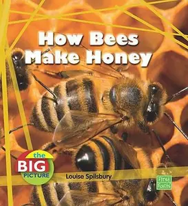 USED-How Bees Make Honey (The Big Picture: Food) (First Facts: The Big Picture: Food) by Louise Spilsbury (Unknown)
