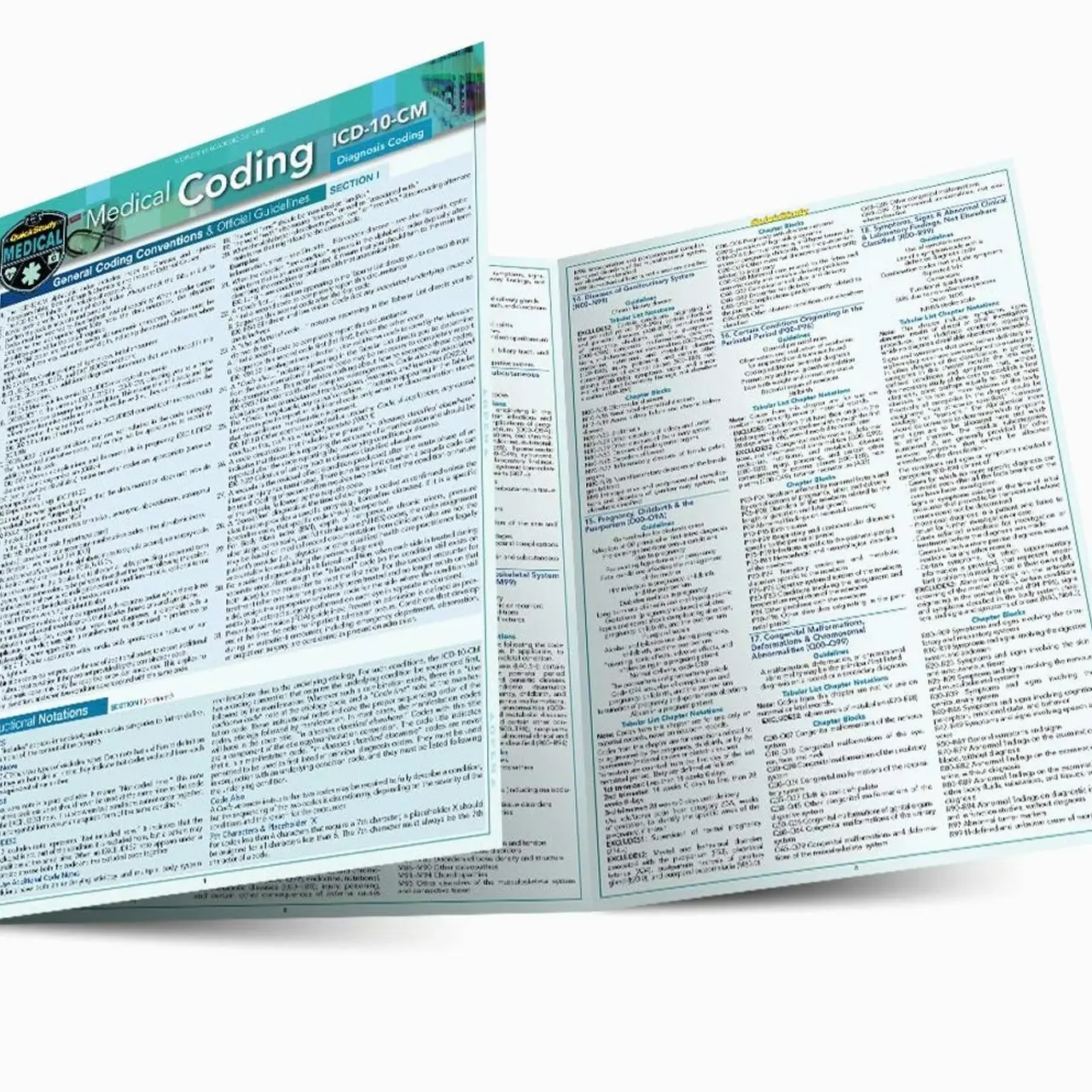 Medical Coding ICD-10-CM: a QuickStudy Laminated Reference Guide