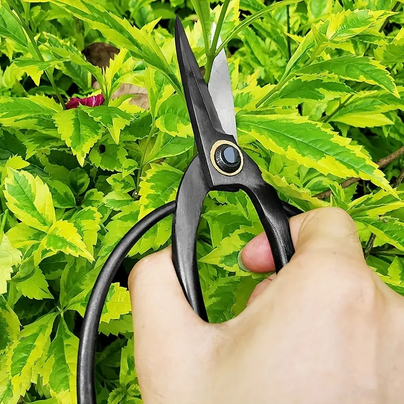 Professional Bonsai Scissors, Steel Blades Precision Cut Tool for Plant Pruning, Flower Arrangement Gardening Use