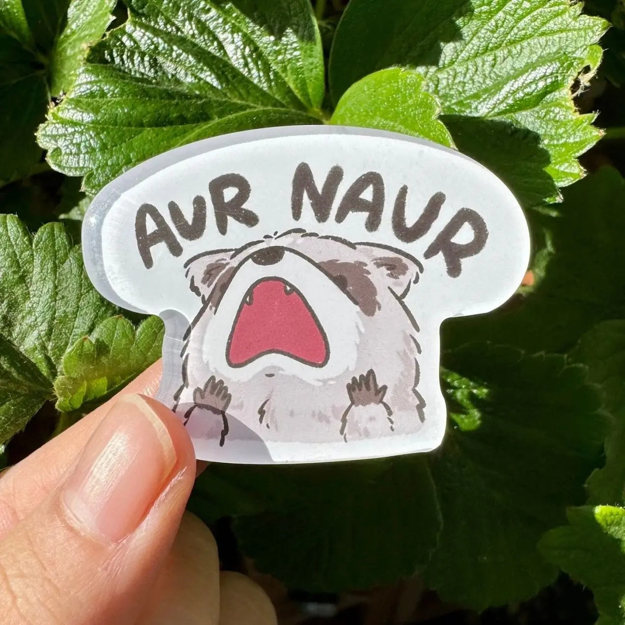Raccoon Aur Naur | Funny Cute Acrylic Magnet | Gifts Under 10 | Novelty Accessory Joke Present | For Refrigerator Lockers File Cabinets