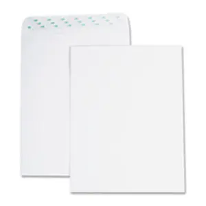 Business Source  Catalog Envelopes- Removable Strip- No.10- 10in.x13in.- WE