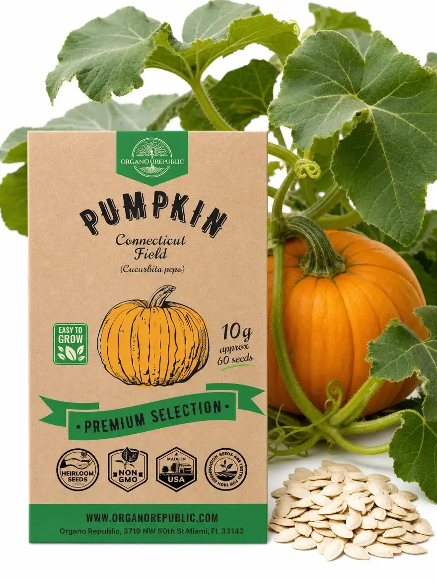 Connecticut Field Pumpkin Seeds – Non-GMO Heirloom