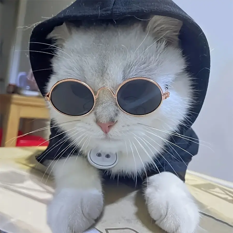 Pet Sunglasses Hip Hop Funny Cute Glasses Kitten Cat Kitty Sun Shades Trendy Accessory Pet Photo Eyewear, Stylish Animal Accessories for Cats