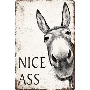 Nice Ass Metal Sign - Donkey Bathroom Sign Decor Funny, Humor Vintage Signs for Bathroom, Restroom, Farmhouse, Home Wall Decor Art, Cool Donkey Gifts for Women Men, 8 x 12 inch