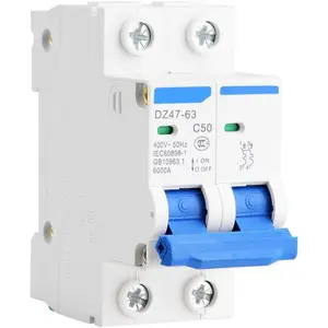 DZ47-63 2P 400V AC Miniature Circuit Breaker Leakage Air Switch (50A)