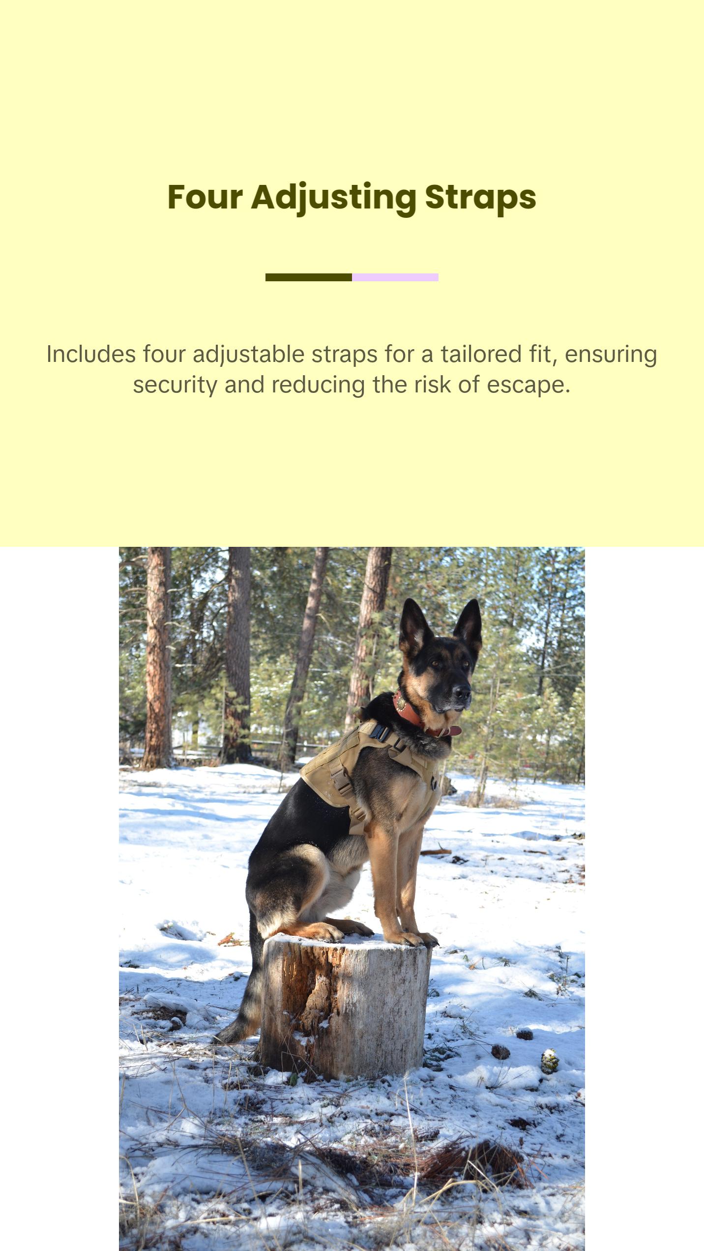 Tactical Dog Gear Set - Military-Grade Harness, Collar & Leash Tactical Dog Gear Set - Military-Grade Harness, Collar & Leash