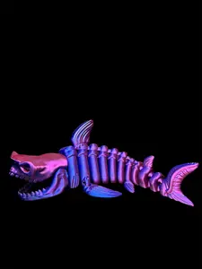 Articulated Skeleton Shark