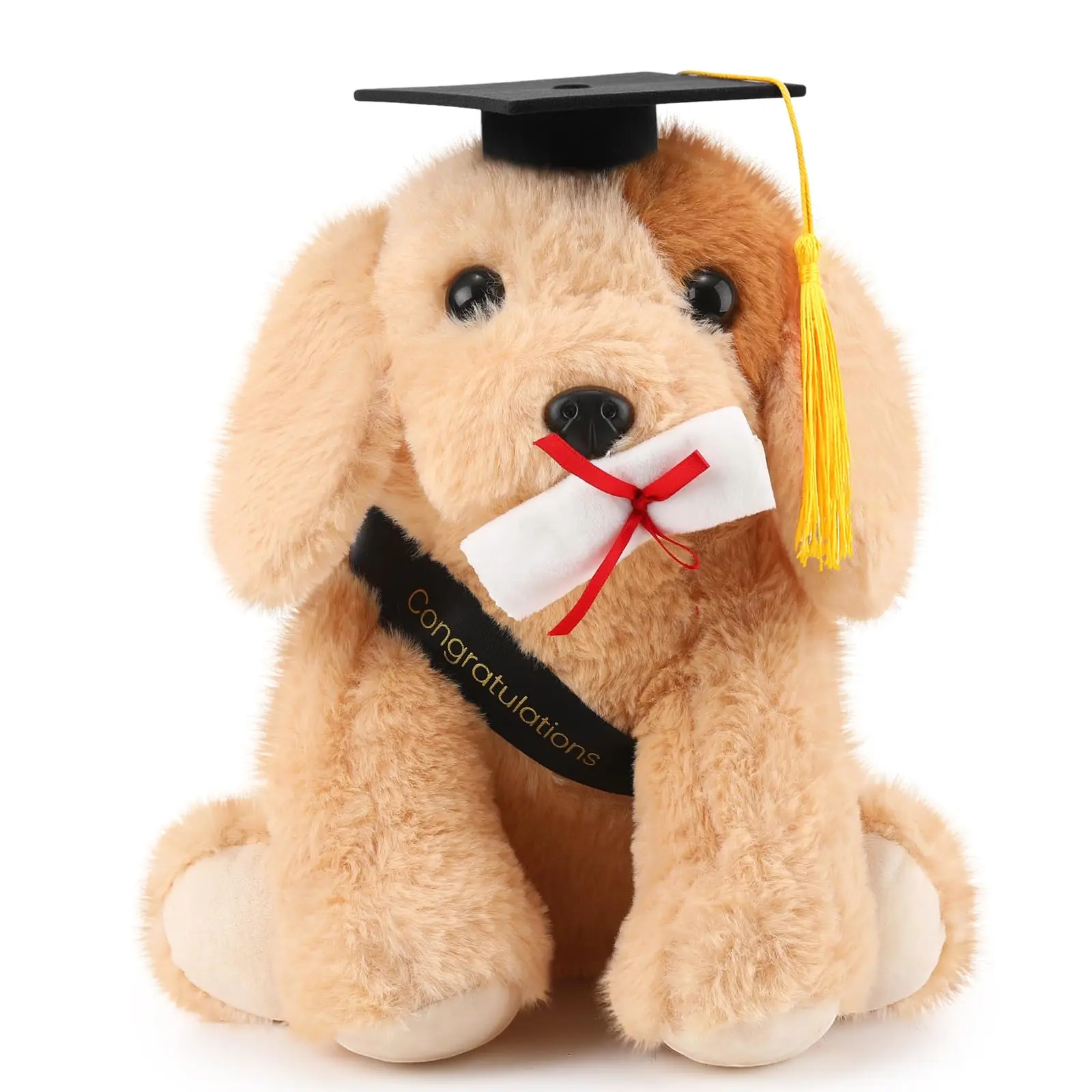 Golden Retriever Puppy