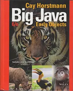USED-Big Java 6e Binder Ready Version High School Binding by Cay S. Horstmann (Hardcover)