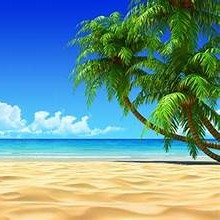 Dos Manos Foundation