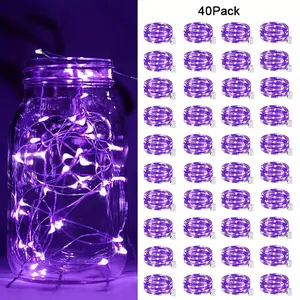 40pcs Fairy Tale Lamp Battery Operated String Lights - 7ft 20 LED Mini Lights with Silvery Wire Firefly Starlight for DIY Bedroom, Ideal for Weddings, Parties, Festivals, Christmas (Twinkling)