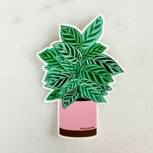 Calathea Peacock Sticker