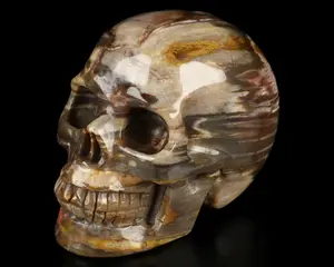 Skullis Crystal Skull, 3.5" Petrified Wood Hand Carved Crystal Skull, Realistic, Crystal Healing